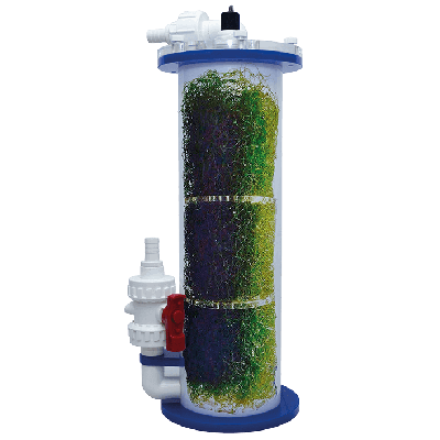 ITC ALR 1 - ALGAE LIGHT REACTOR inside example with algae growing